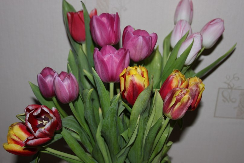 Ольга Михайлова | Санкт-Петербург