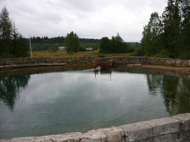 Галина Гришина | Санкт-Петербург
