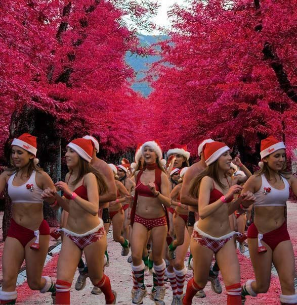 Анна Scherzosa | 