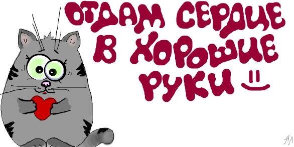 №70, Алексей Питюшенко №70, Алексей Питюшенко
