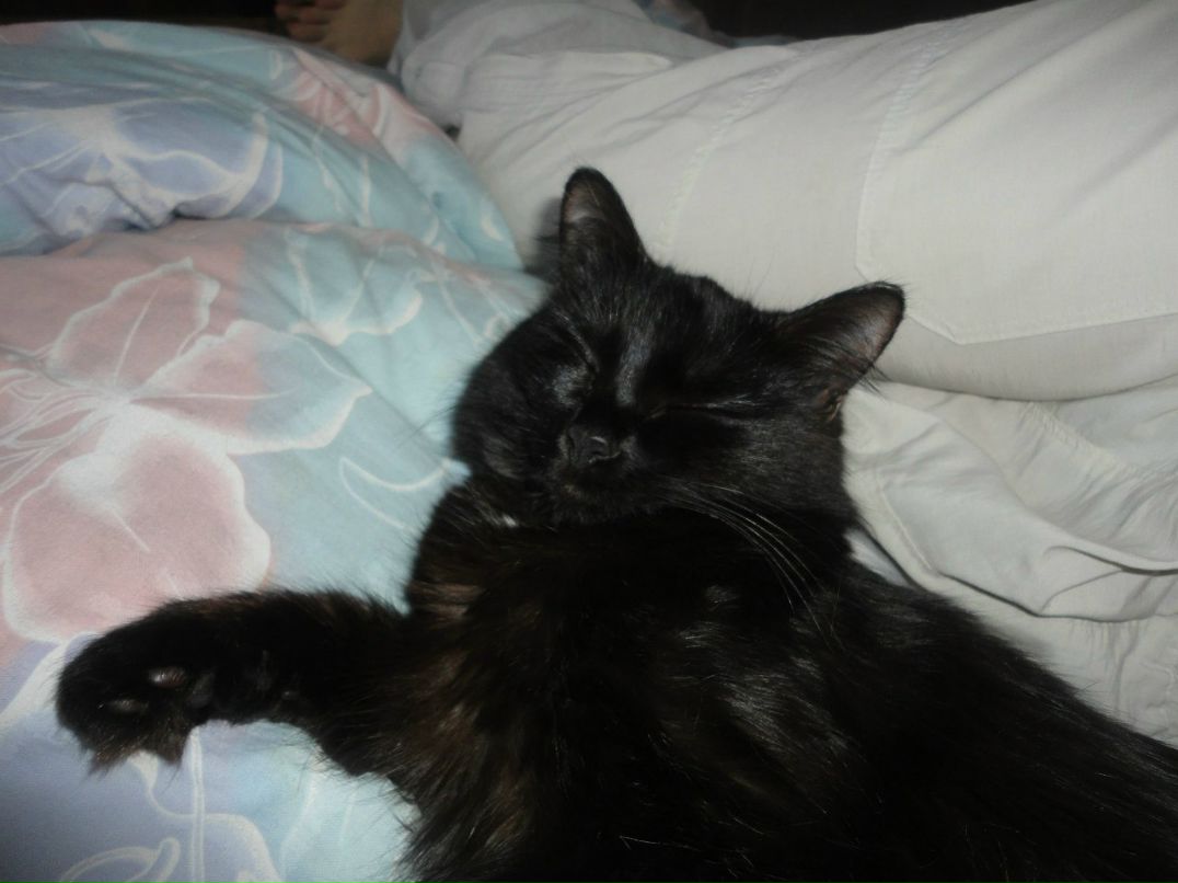 Валера Вахмянин | Молодечно