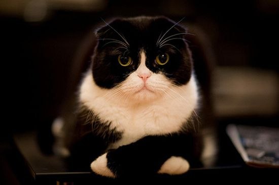 Марк Твен | Минск