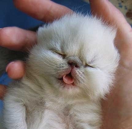 №12, Дарья Фурдилова, 36 лет, Москва №12, Дарья Фурдилова, 36 лет, Москва