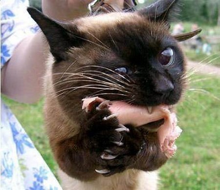 Кира Ли | Санкт-Петербург