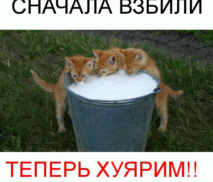 №16, Дмитрий Харламов, 44 года, Липецк №16, Дмитрий Харламов, 44 года, Липецк