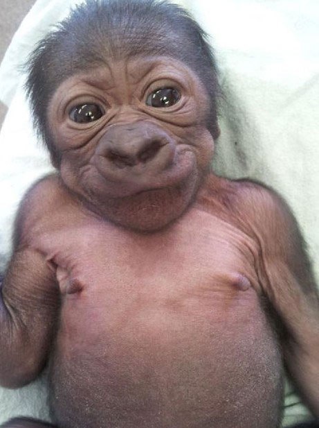 Татьяна Иванчук | Москва