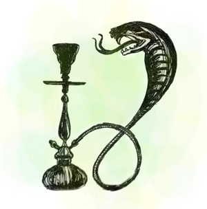 Дима Загумённов | Краснодар