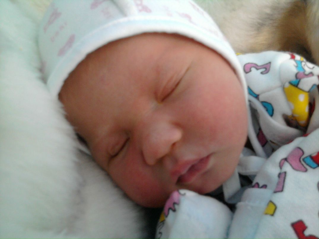 Андрей Згырча | Мамалыга