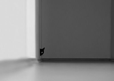 Аня Остапенко | Севастополь