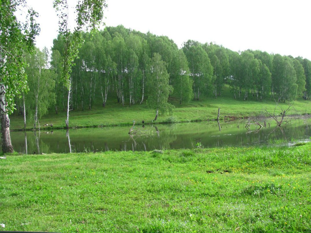 Mihail Nefedov | Новосибирск