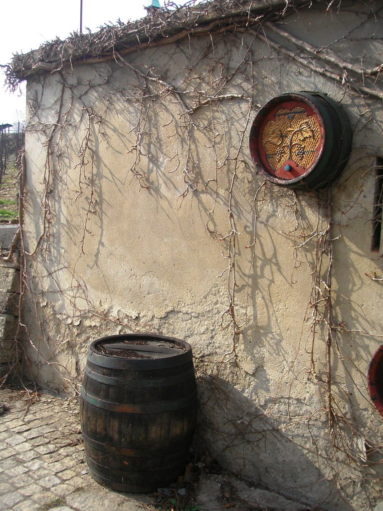 Женя Саликова | Пермь