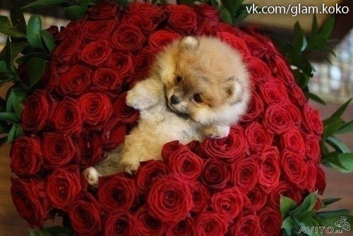 Таня Волегова | Пермь