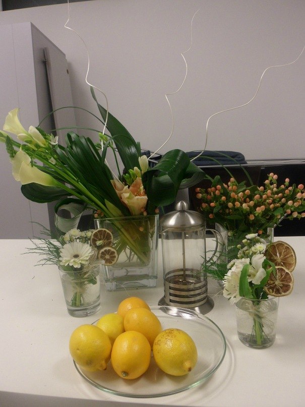 Ольга Пилявская | 