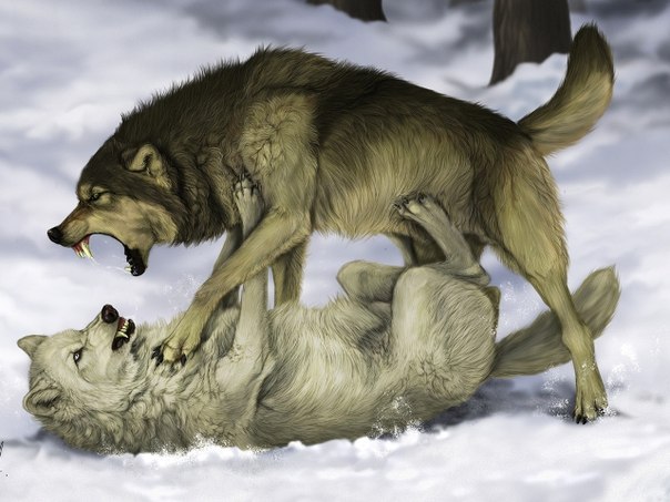 Александр Самонов | 