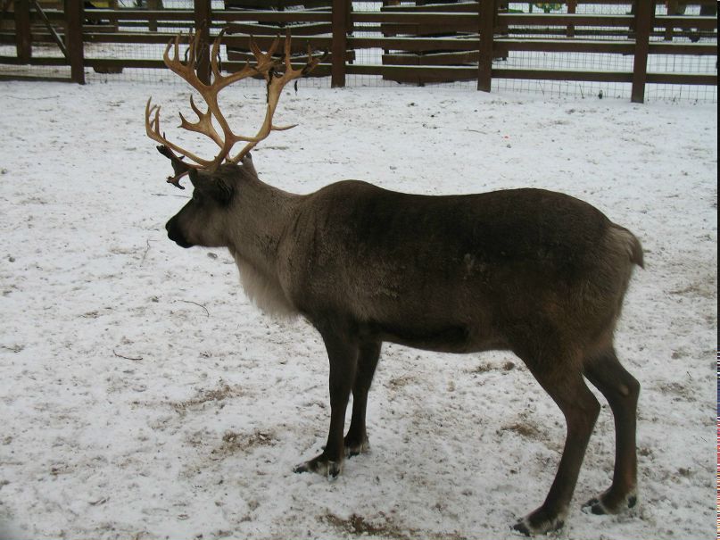 Андрей Шебашов | Москва