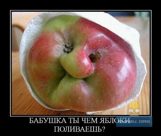 Елена Бондарчук | Нижний Новгород