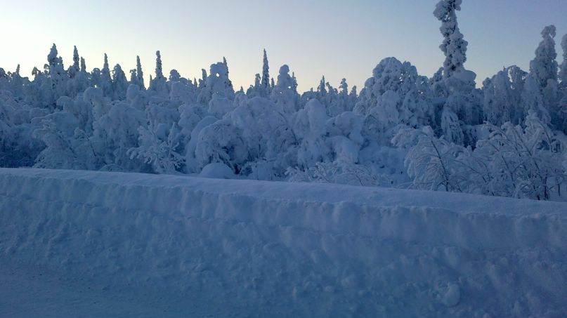 Николай Латухин | Алакуртти