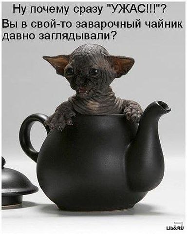 №14, Оксана Максакова, Краснодар №14, Оксана Максакова, Краснодар