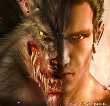 Владимир Максимкин | Брянск