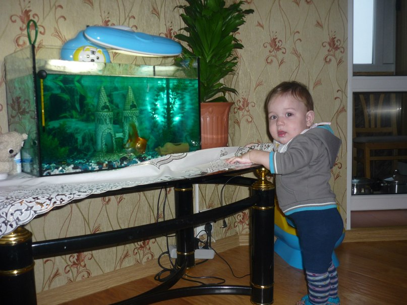 Елена Козина | Санкт-Петербург