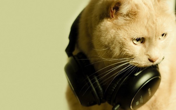 Krsk Weed Гаврош Харош :) | Красноярск