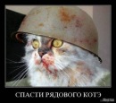 Фотография Игорь Кругликов