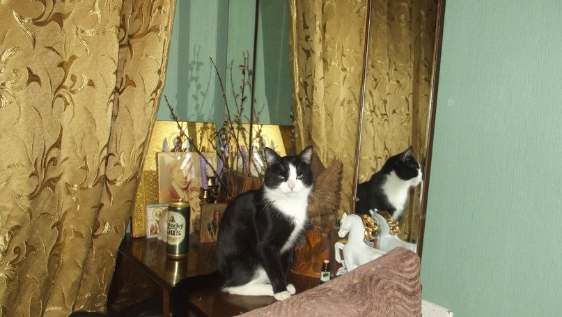 Юля Сивова | Санкт-Петербург