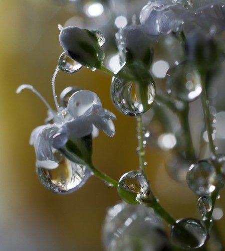 №51, Надежда Смирнова №51, Надежда Смирнова