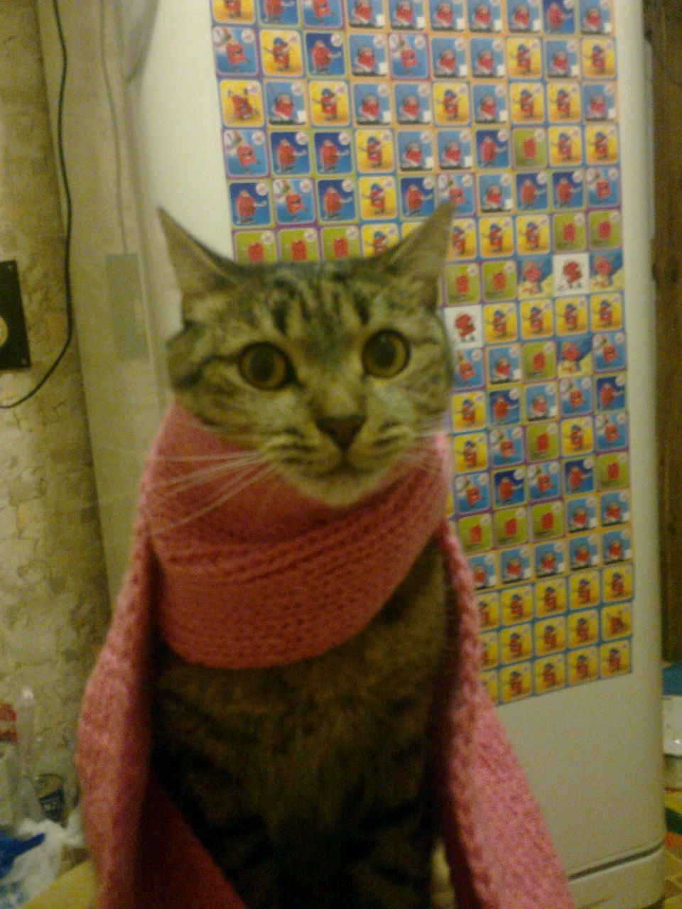 Лелька Яковлева | Москва