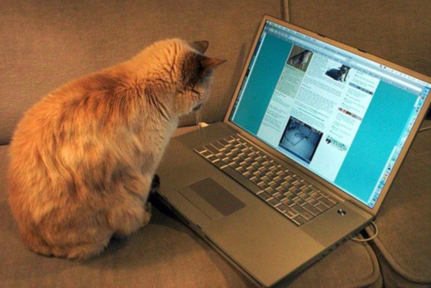 Егор Зорин DeaDwall | Монино