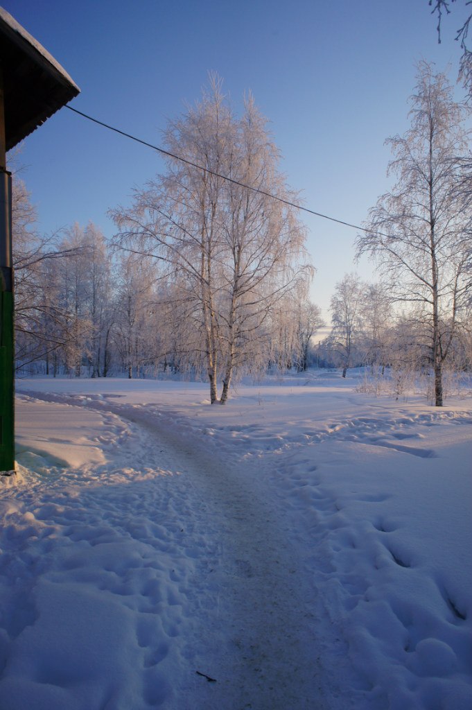 Радик Рафиков | Сургут
