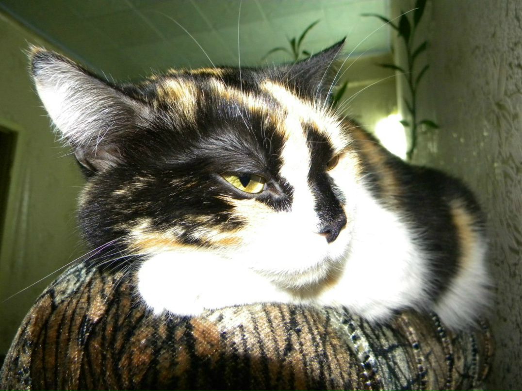 Татьяна Емец | Липецк