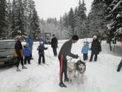 №1 Светлана Ларионова 04.04: профиль, фото, статус - ВКонтакте