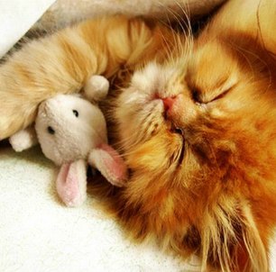 №81, Олег Гоменюк, Одесса №81, Олег Гоменюк, Одесса