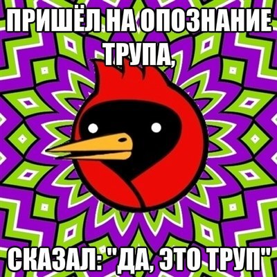 Лёха Пипко | Сургут