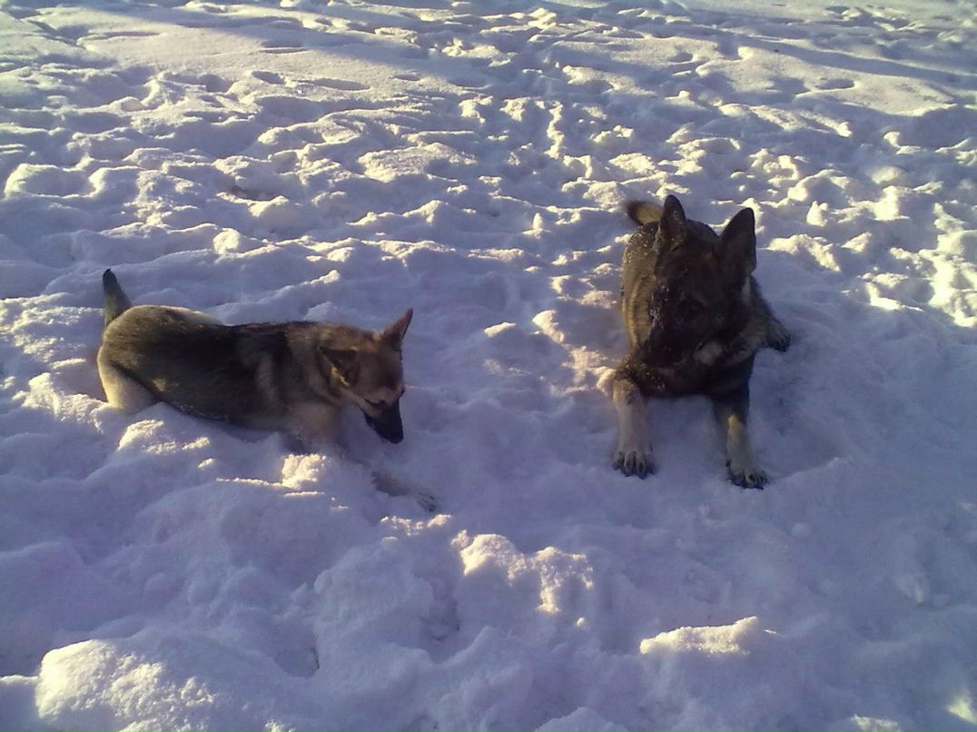 Ирина Гольцева | Санкт-Петербург