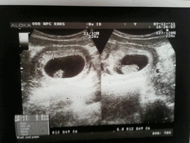 Дарья Шутова Владимировна | Москва