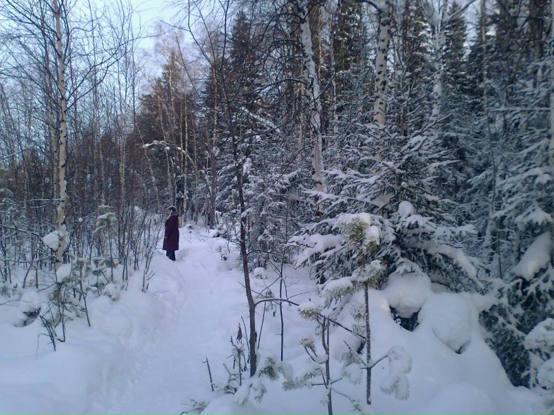 Светлана Ханипова | Шугурово