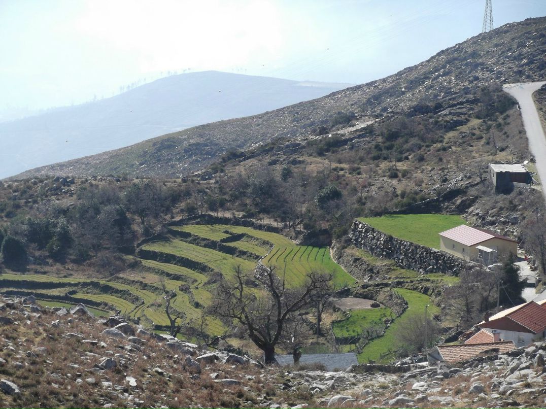 Катя Родионова | Воронеж