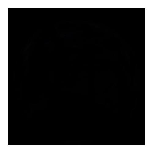 Саша Жесть | Киев