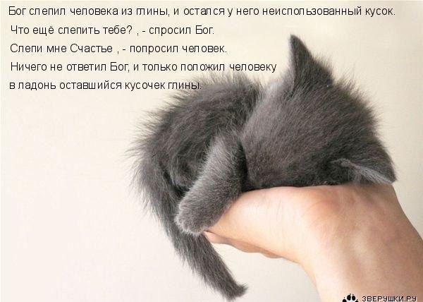 №85, Анастасия Степанова, Тверь №85, Анастасия Степанова, Тверь