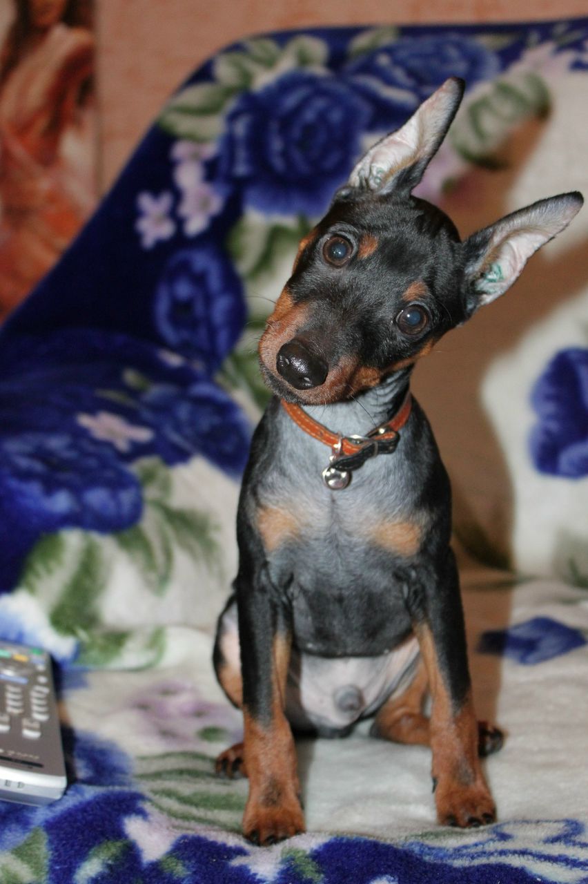 Сергей Нураев | Санкт-Петербург