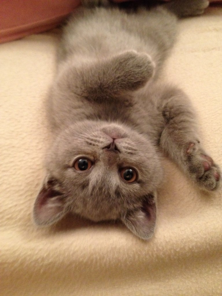 Ольга Грабилова | Санкт-Петербург