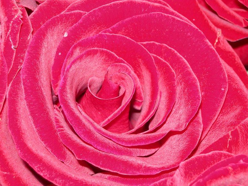 Елена Попова | Москва