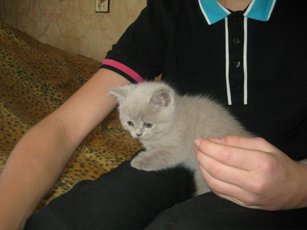 Екатерина Субботина | Санкт-Петербург