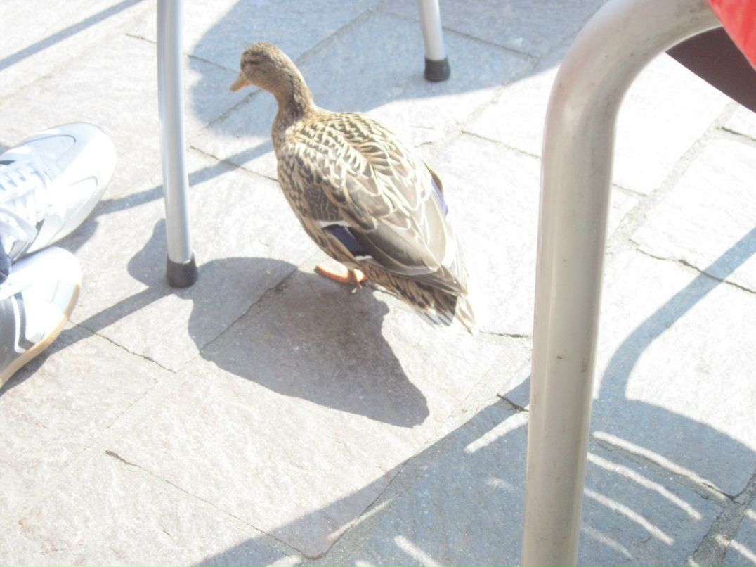 Данил Жигалин | Москва