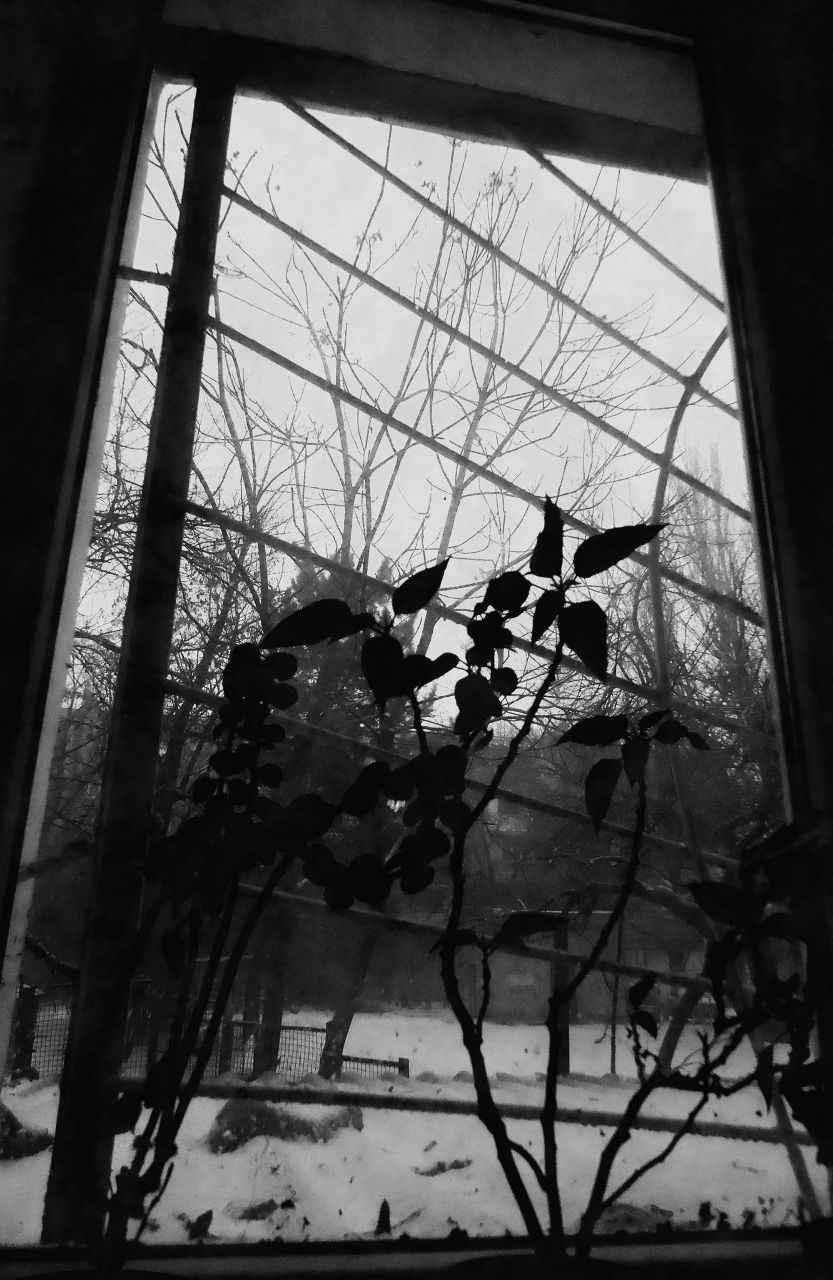 Алёна Дорофеева | 