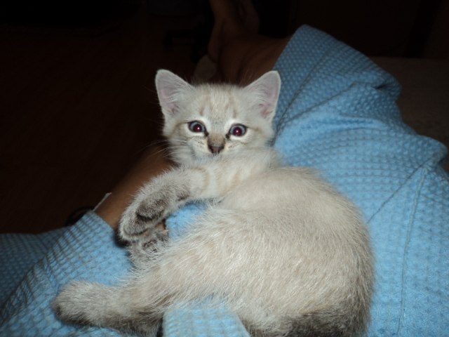 Елена Зевакина | Казань