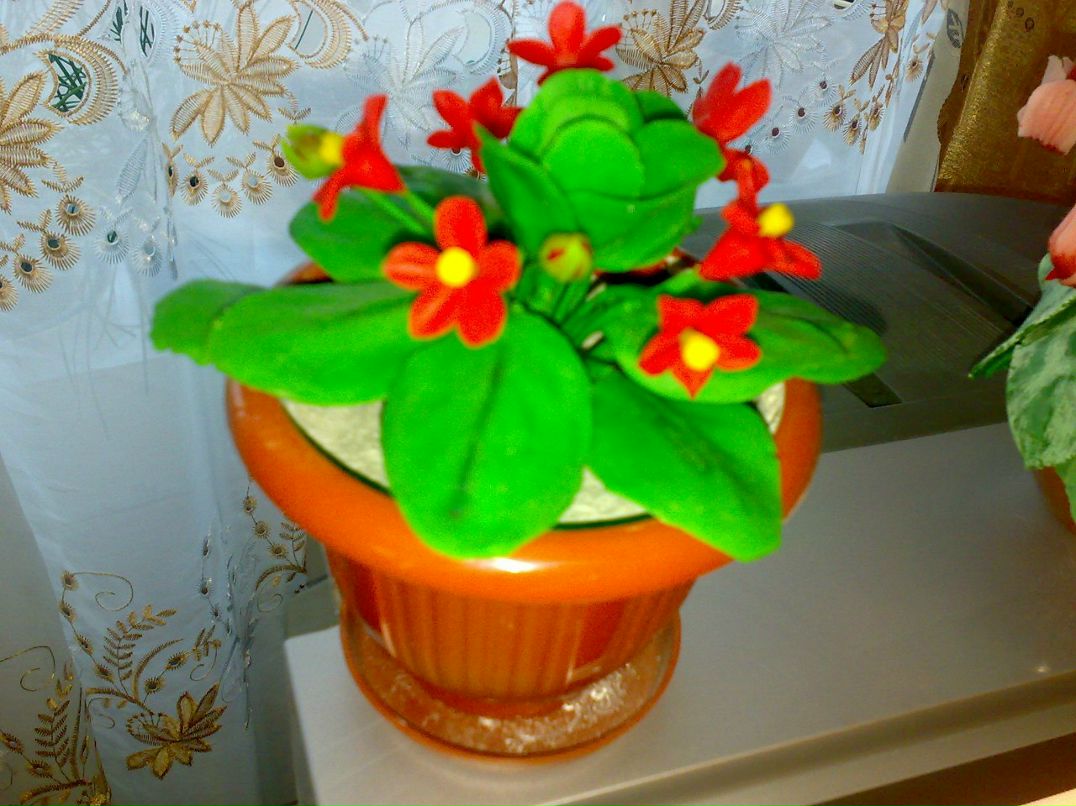 Диана Справедливая | Селидово