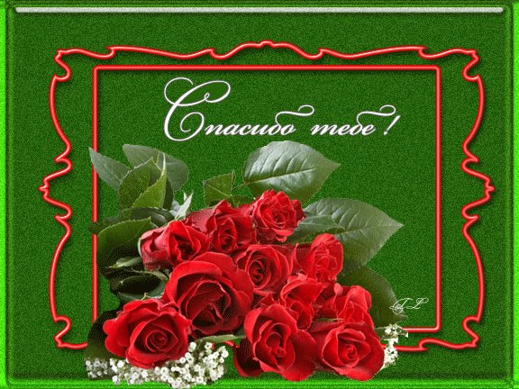 Сергей Цибулин | Прокопьевск